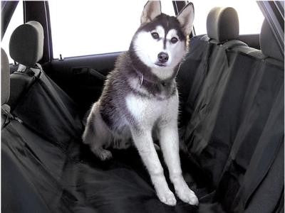 Vehicle seat best sale covers for dogs